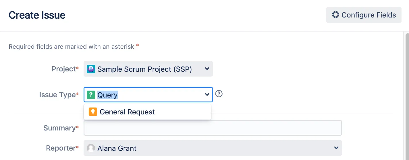 Issue types visible to users role