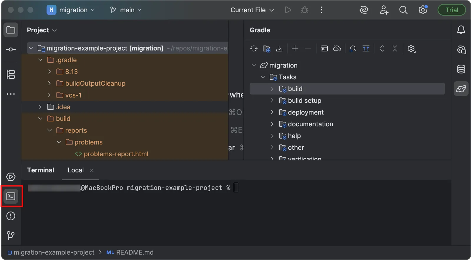 A screen capture of the IDE with the terminal open.