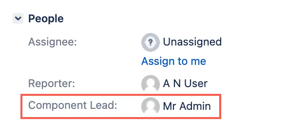 Issue view showing the Component Lead field populated
