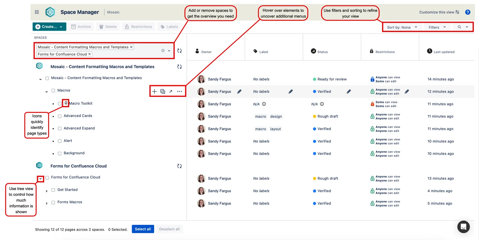 Space Manager control panel showing filters, sorting options, and page management tools for multiple spaces.